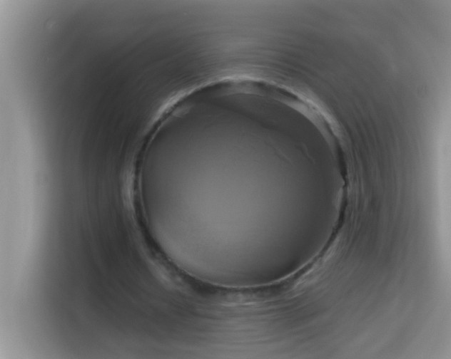 X0000114100434200910051448