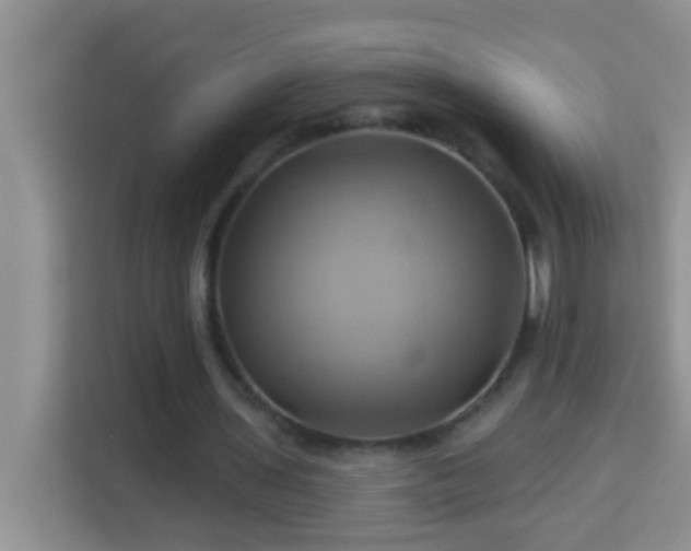 X0000114100435200910051448