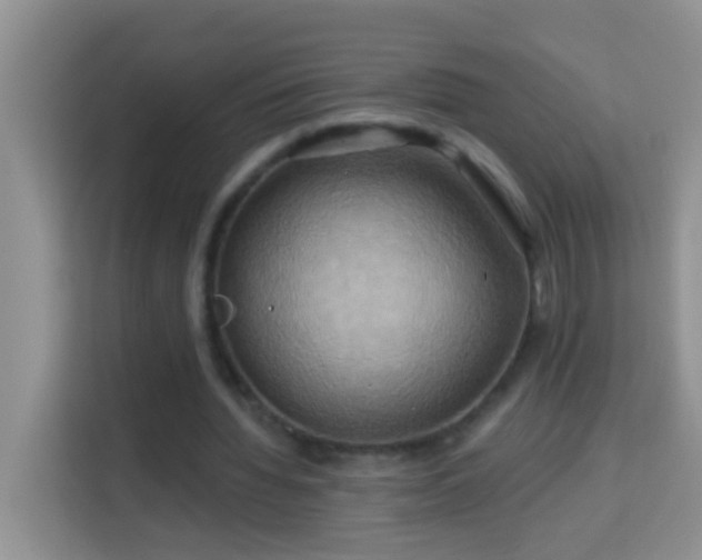 X0000114100436200910051448