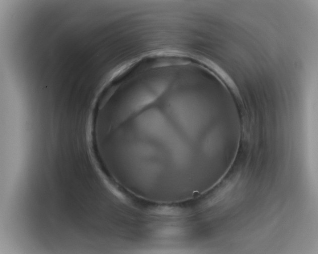 X0000114100437200910051448