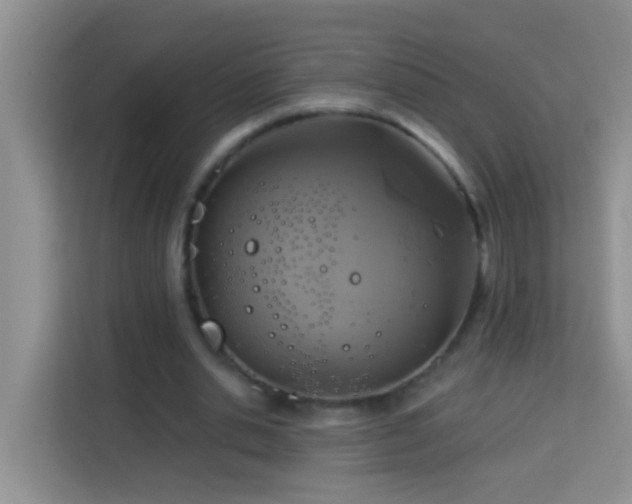 X0000114100438200910051448