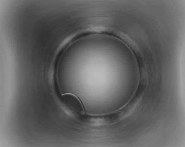 X0000114100440200910051448