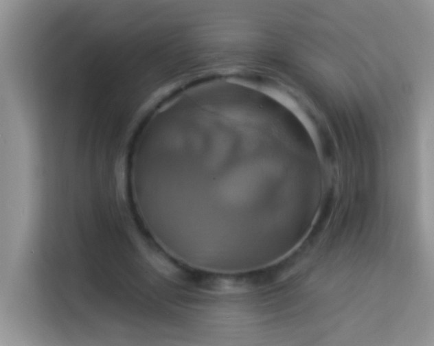 X0000114100442200910051448