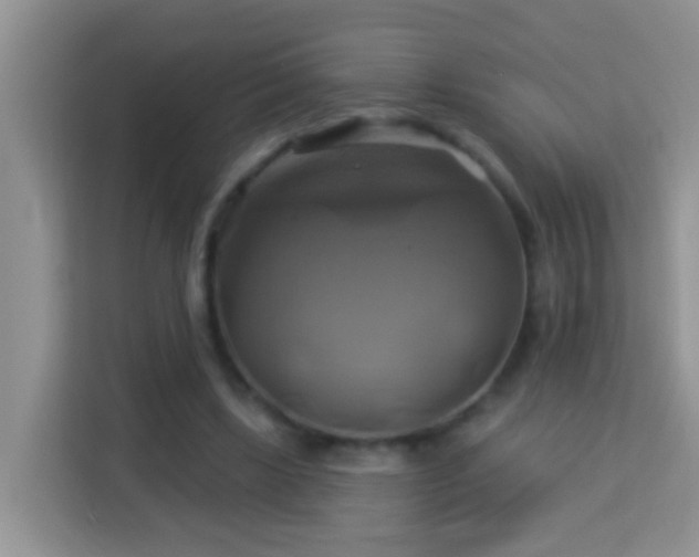 X0000114100443200910051448