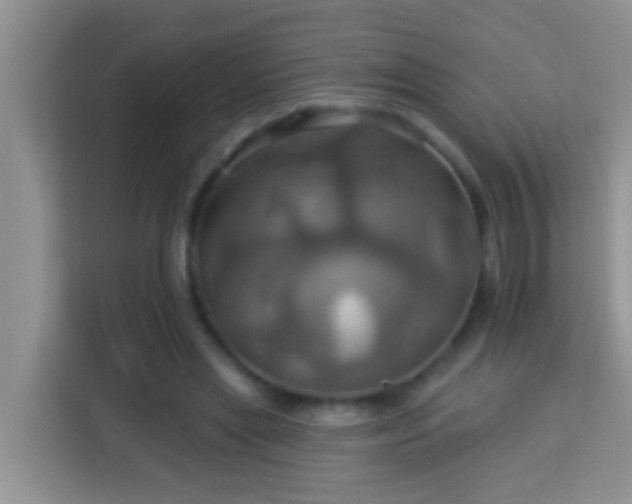 X0000114100445200910051448