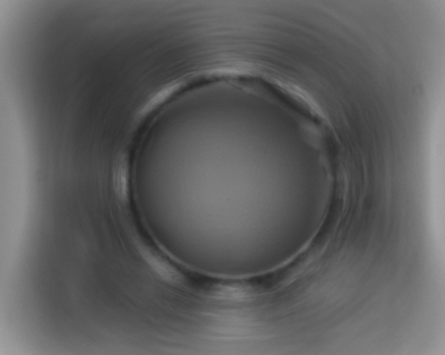 X0000114100446200910051448