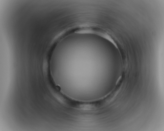 X0000114100448200910051448