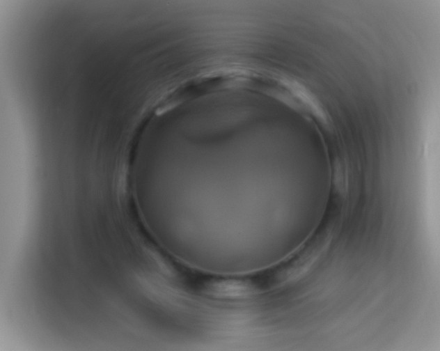 X0000114100449200910051448