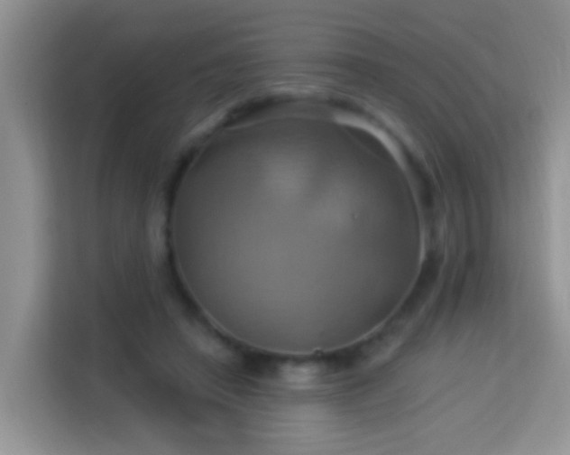 X0000114100450200910051448