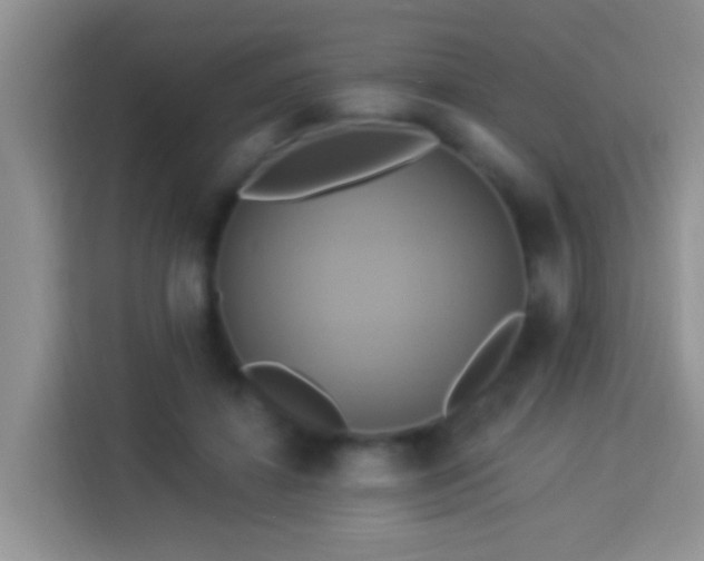 X0000114100452200910051448