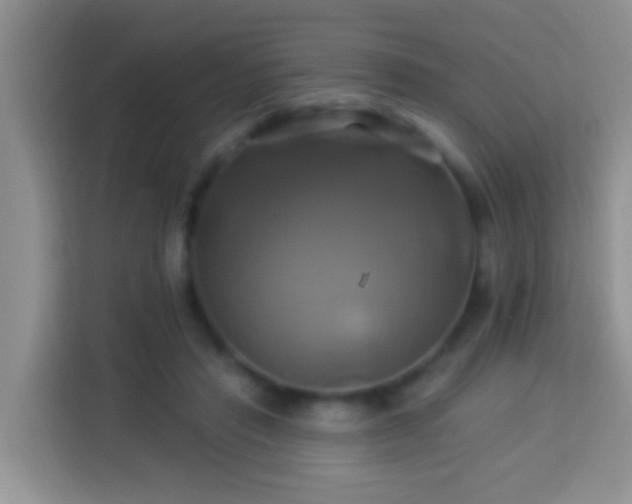 X0000114100453200910051448