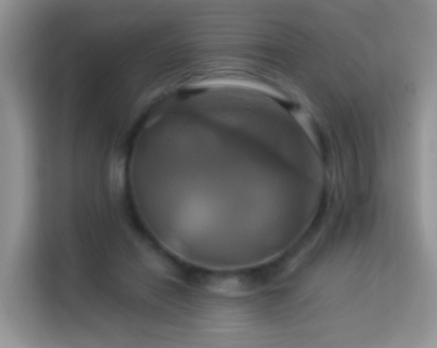 X0000114100454200910051448