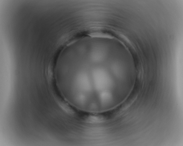 X0000114100455200910051448