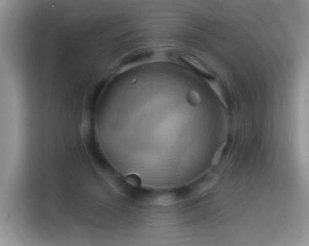 X0000114100456200910051448