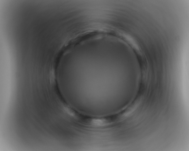 X0000114100457200910051448