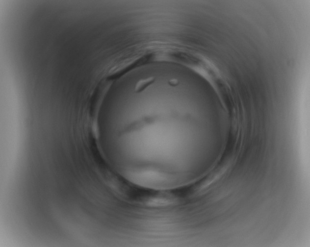 X0000114100459200910051448