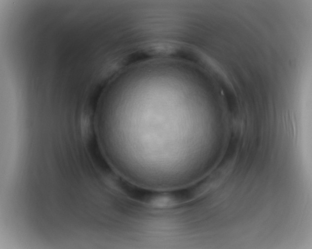 X0000114100460200910051448