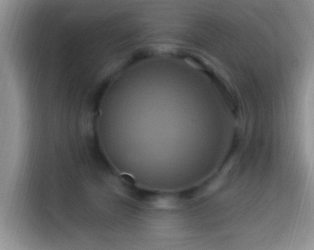 X0000114100462200910051448