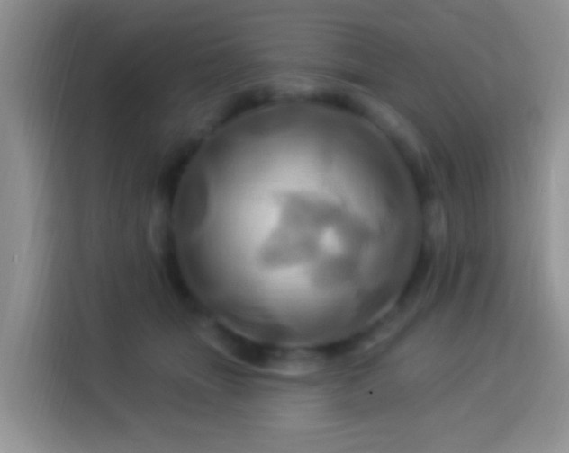 X0000114100463200910051448