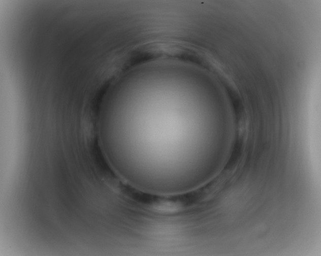 X0000114100464200910051448