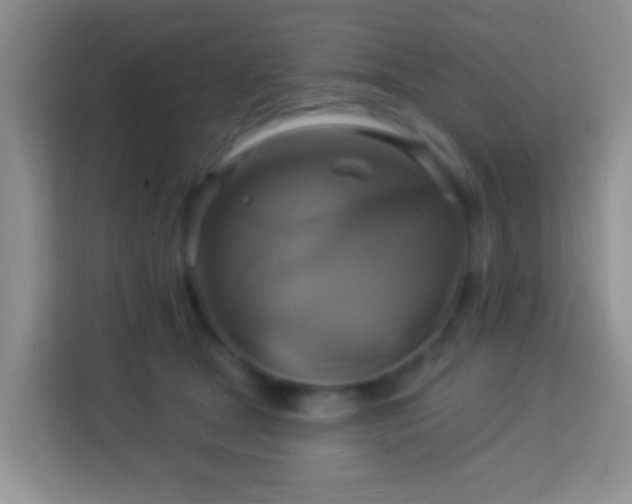 X0000114100465200910051448