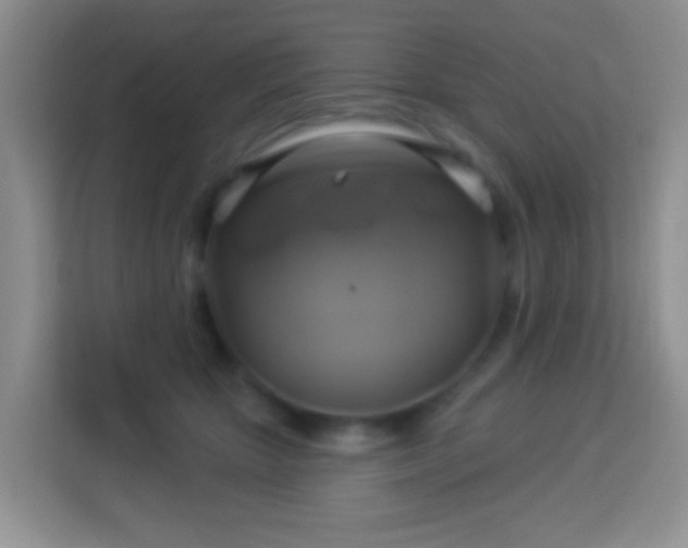 X0000114100467200910051448