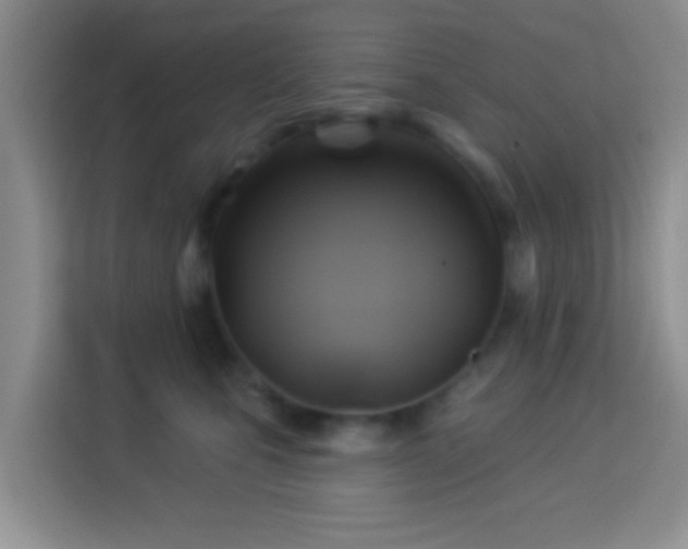 X0000114100471200910051448