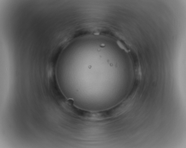 X0000114100472200910051448