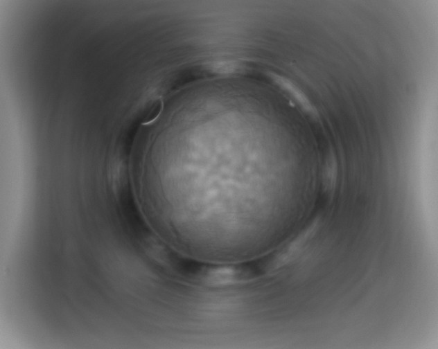 X0000114100473200910051448