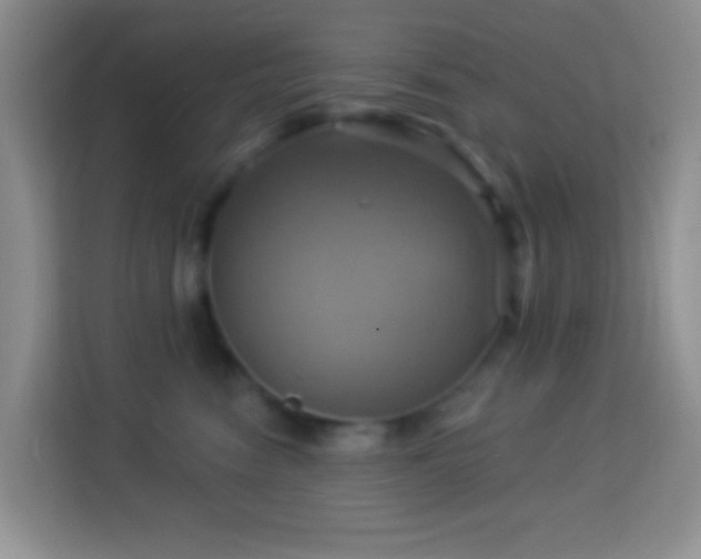 X0000114100474200910051449