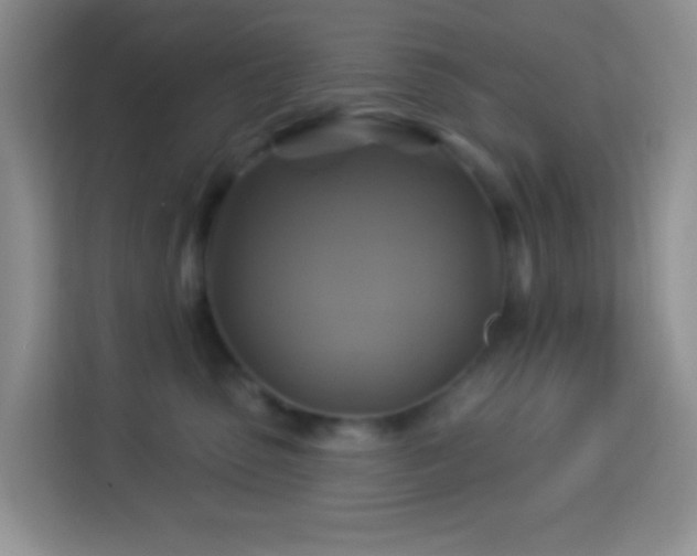 X0000114100475200910051449