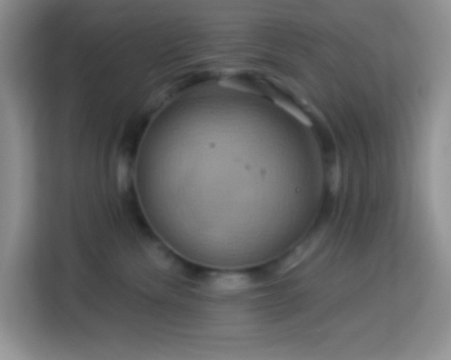 X0000114100476200910051449