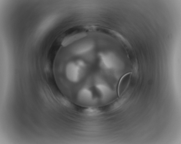 X0000114100477200910051449