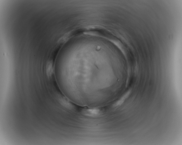 X0000114100478200910051449