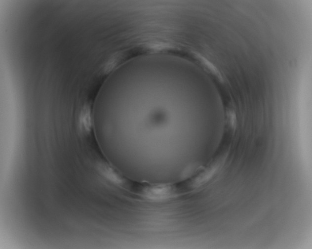 X0000114100479200910051449