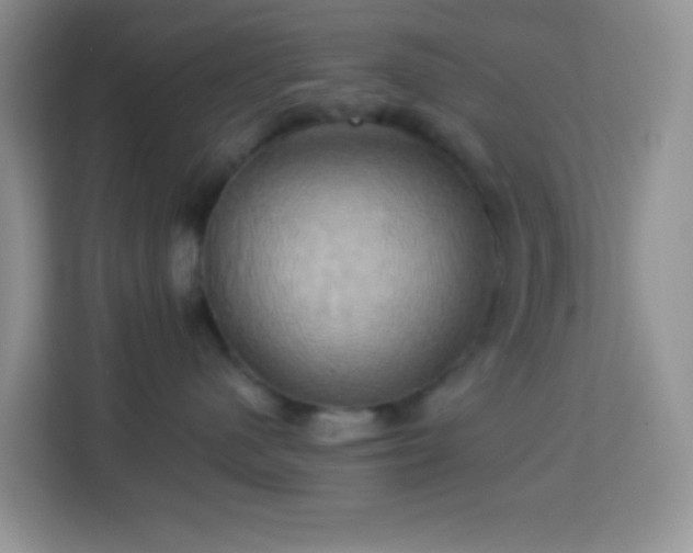 X0000114100480200910051449