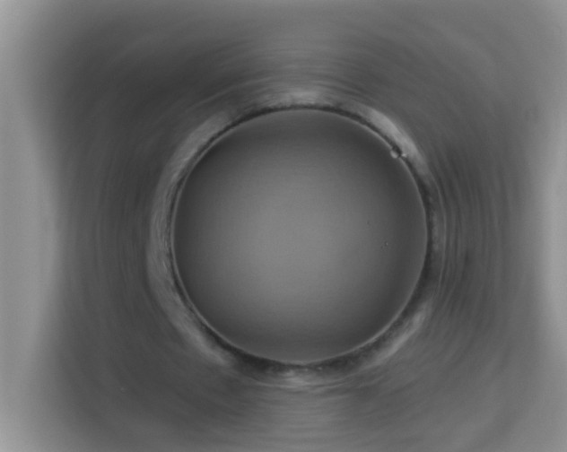 X0000114100481200910051448