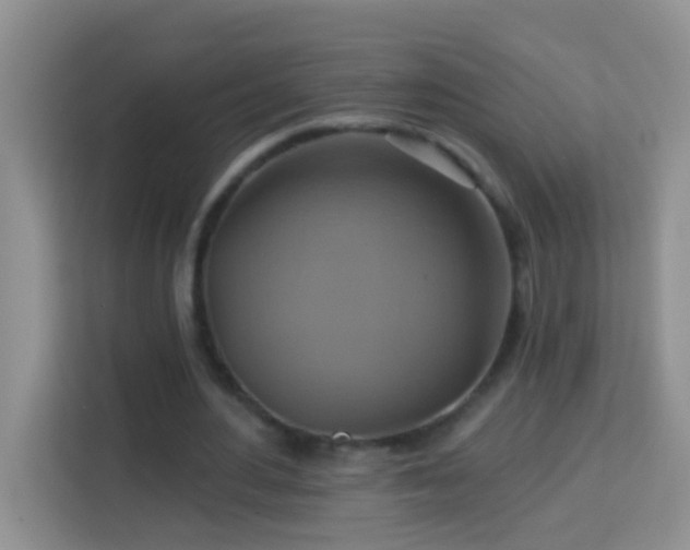 X0000114100484200910051448