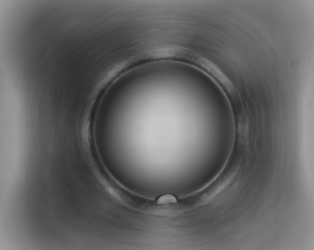 X0000114100485200910051448