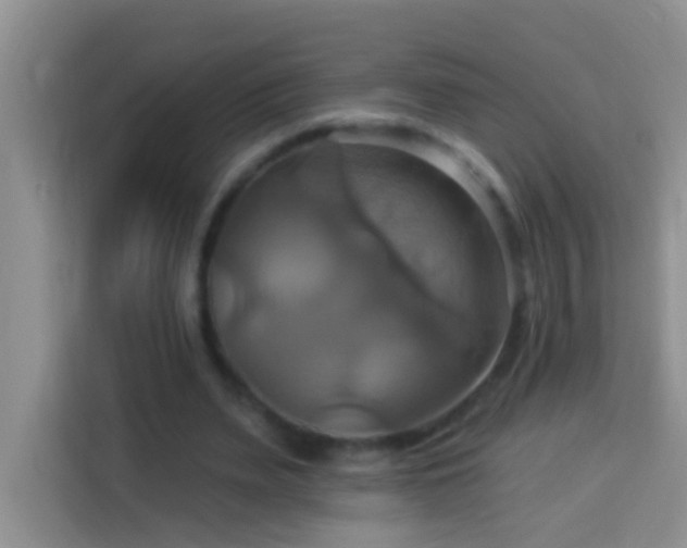 X0000114100487200910051448