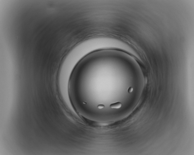 X0000114100489200910051448