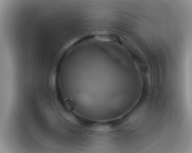 X0000114100491200910051448