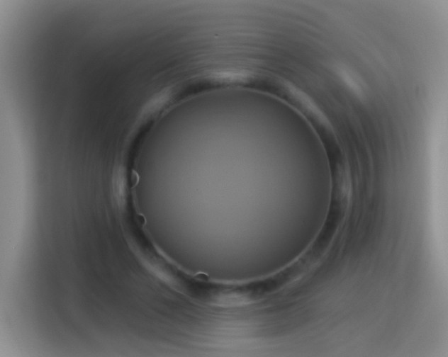 X0000114100494200910051448