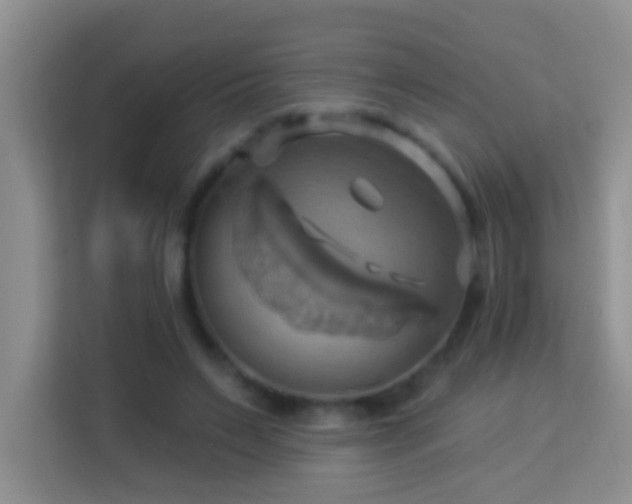 X0000114100495200910051448