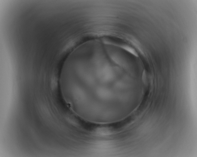 X0000114100499200910051448