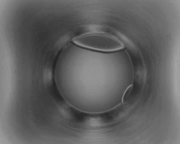 X0000114100500200910051448