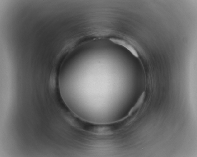 X0000114100501200910051448