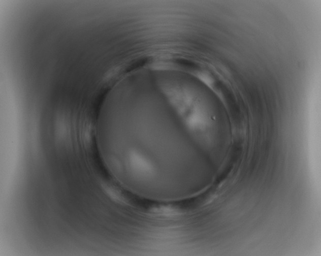 X0000114100503200910051448