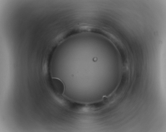 X0000114100504200910051448