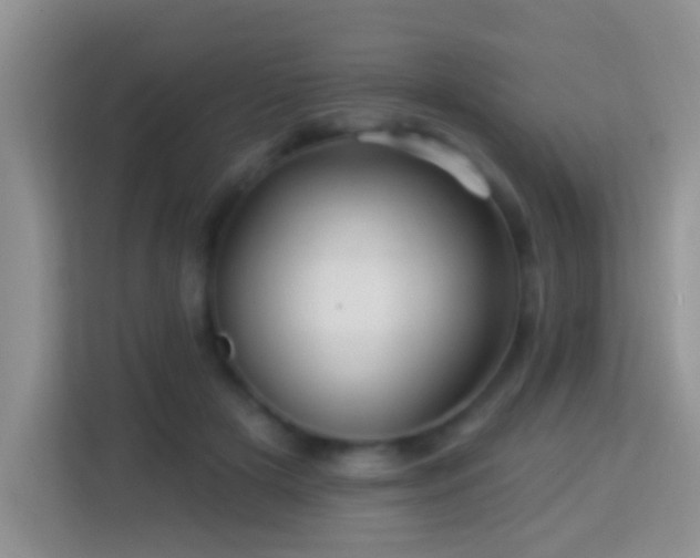 X0000114100505200910051448